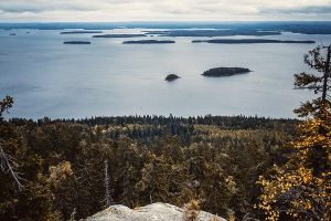 koli